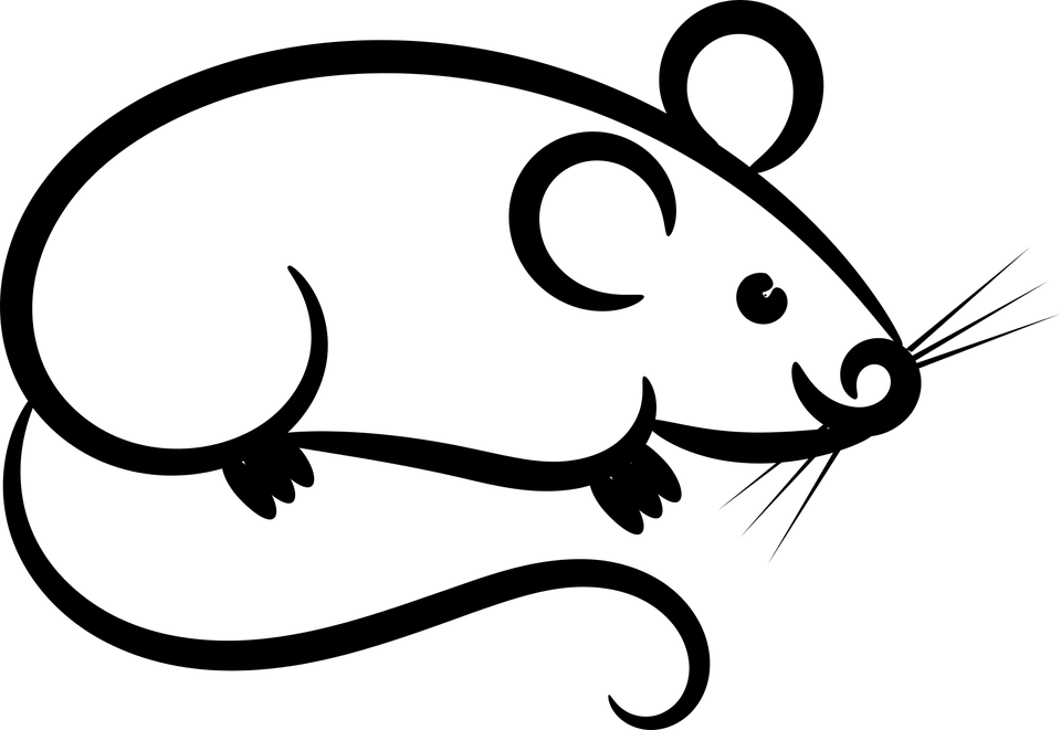 Nocne spotkanie