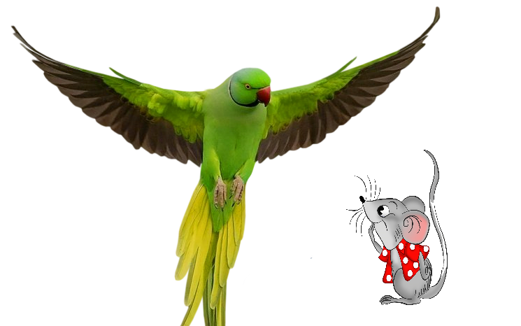 Matylda i zielony ptak